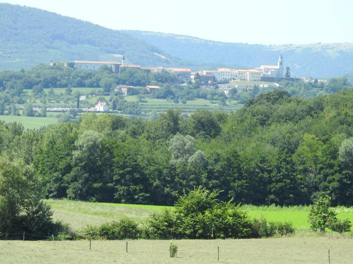 Turisticna Kmetija Pri Rebkovih Διαμέρισμα Ajdovščina Εξωτερικό φωτογραφία